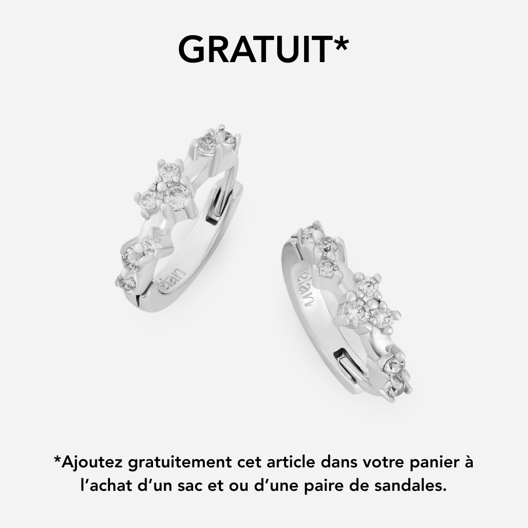 Paire de boucles Trésor