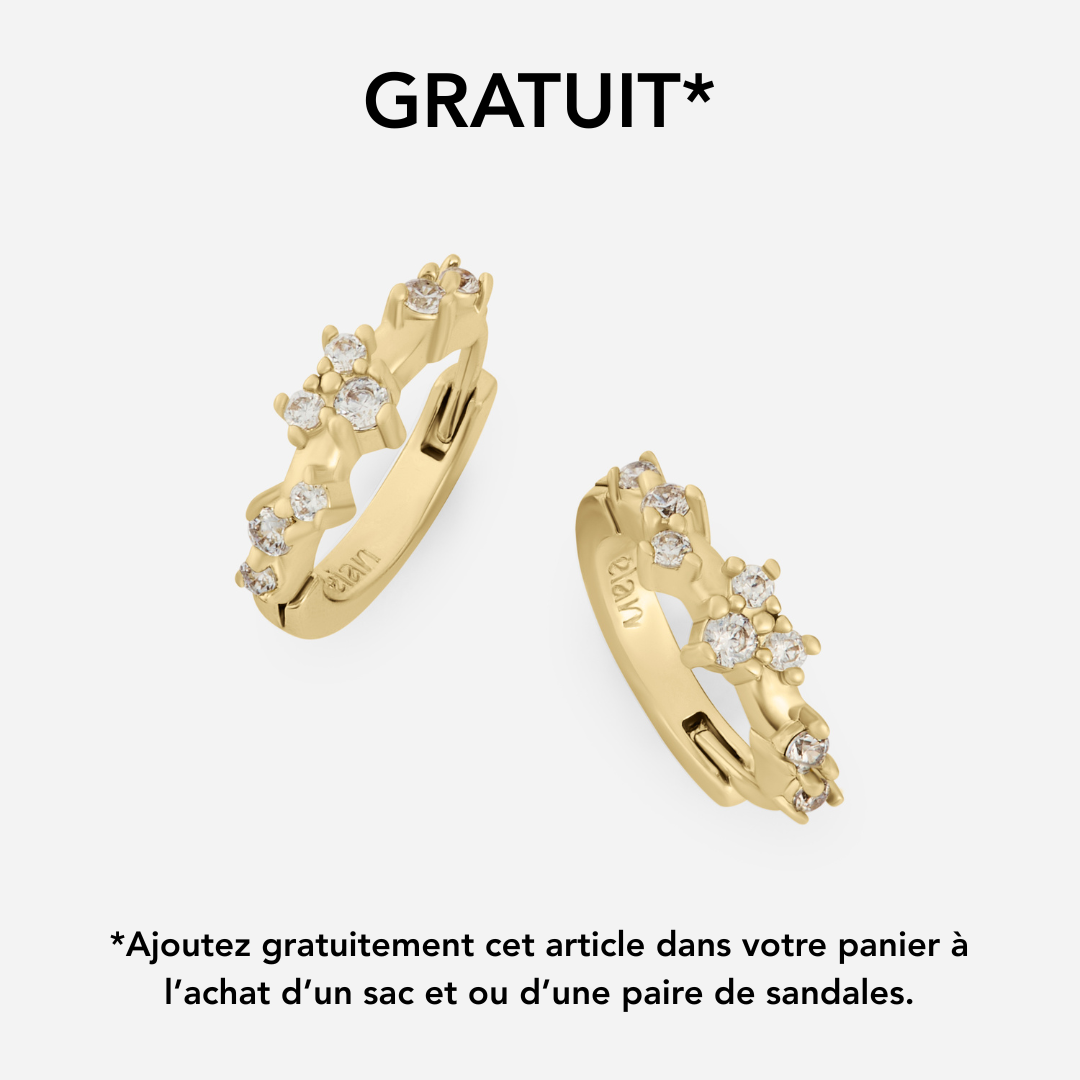 Paire de boucles Trésor