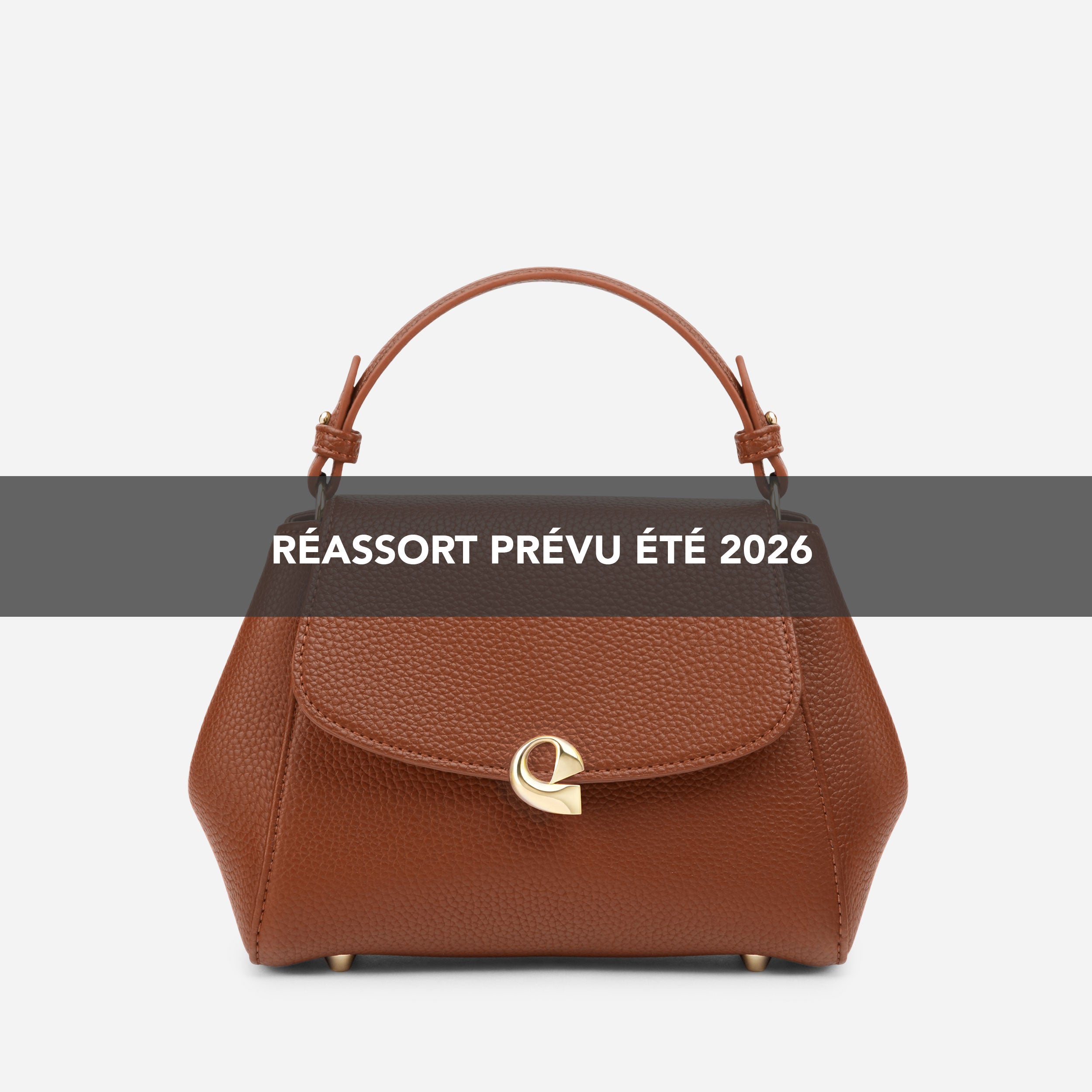 Sac Aura précieuse - camel