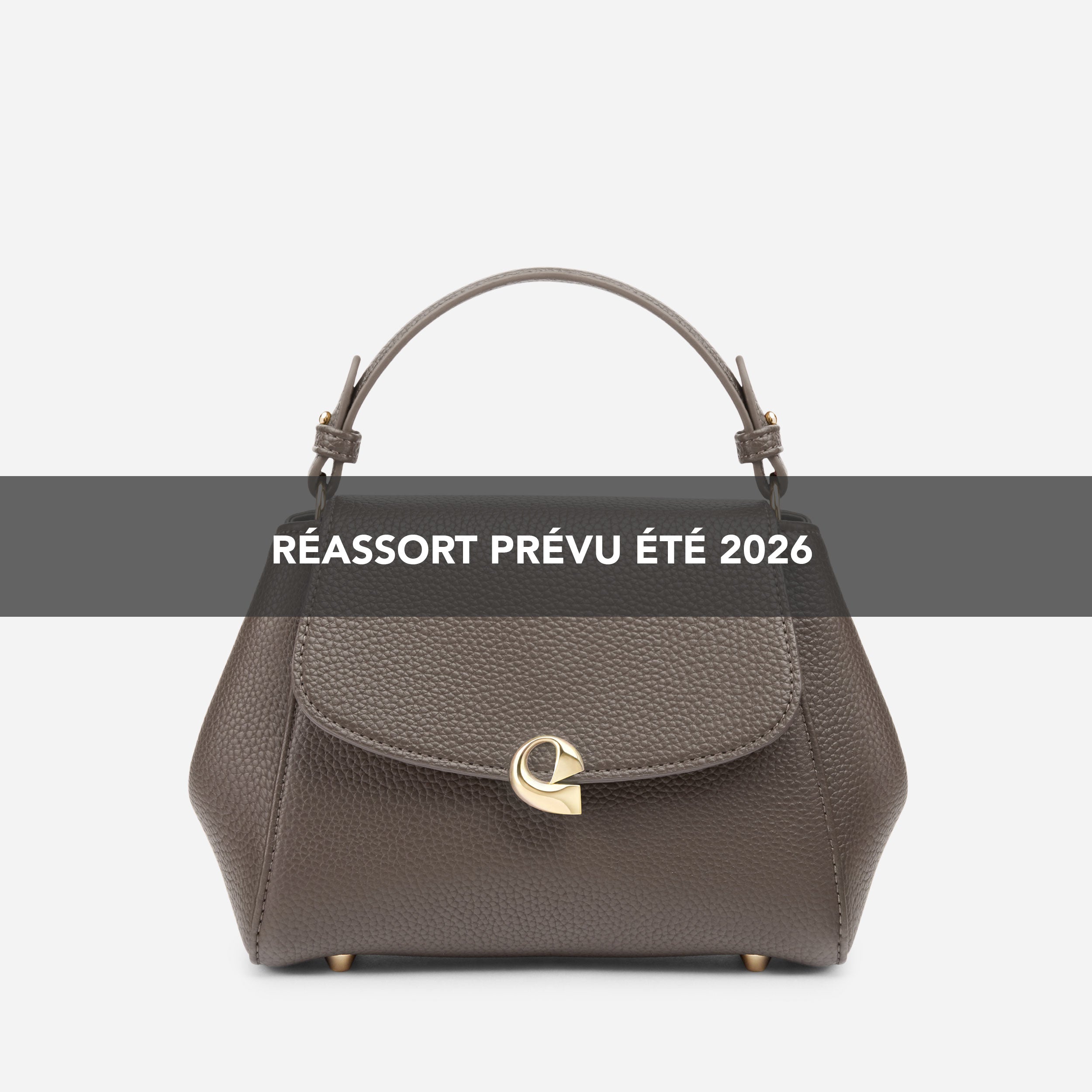 Sac Aura précieuse - taupe