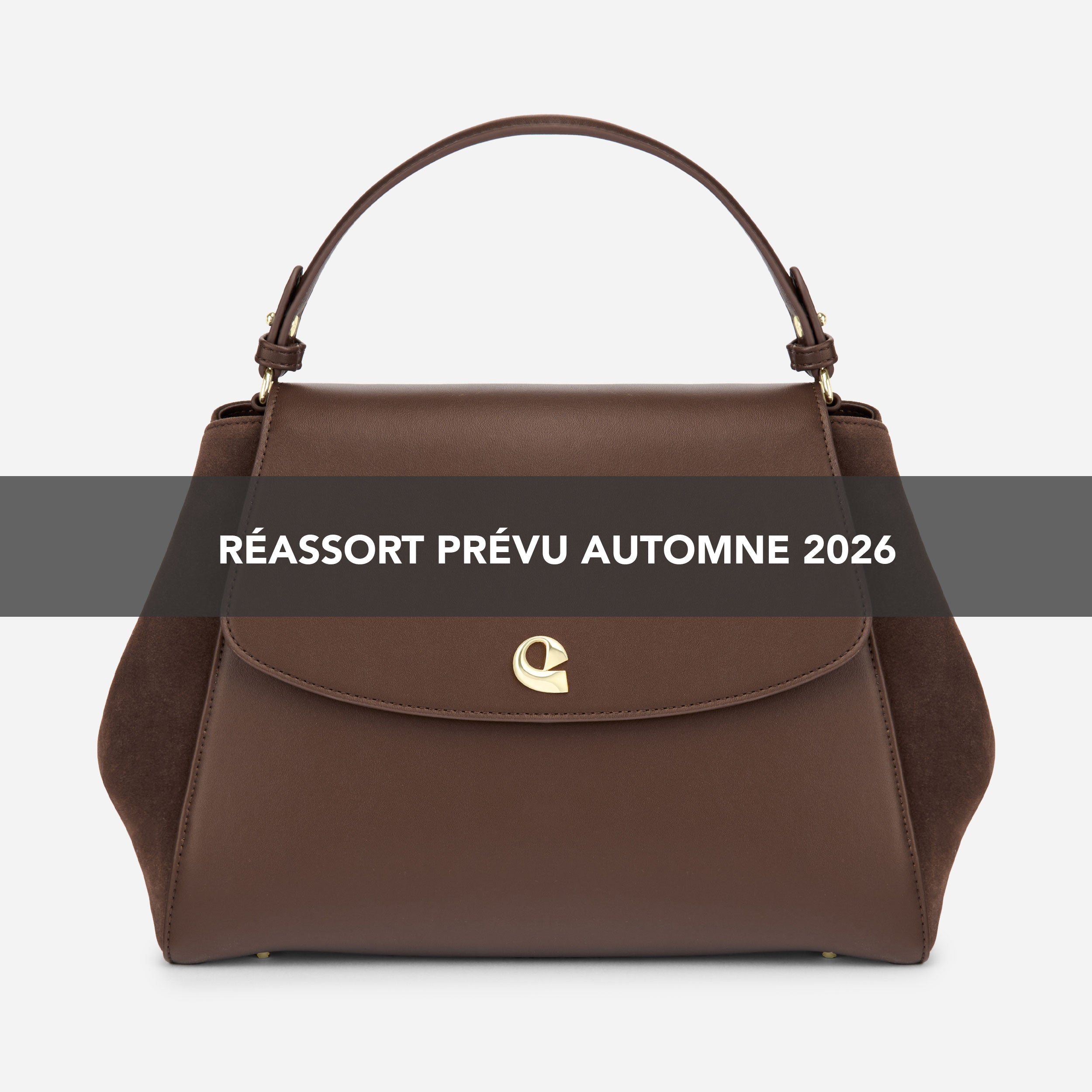 Sac Aura Spacieuse - Suede Chocolat