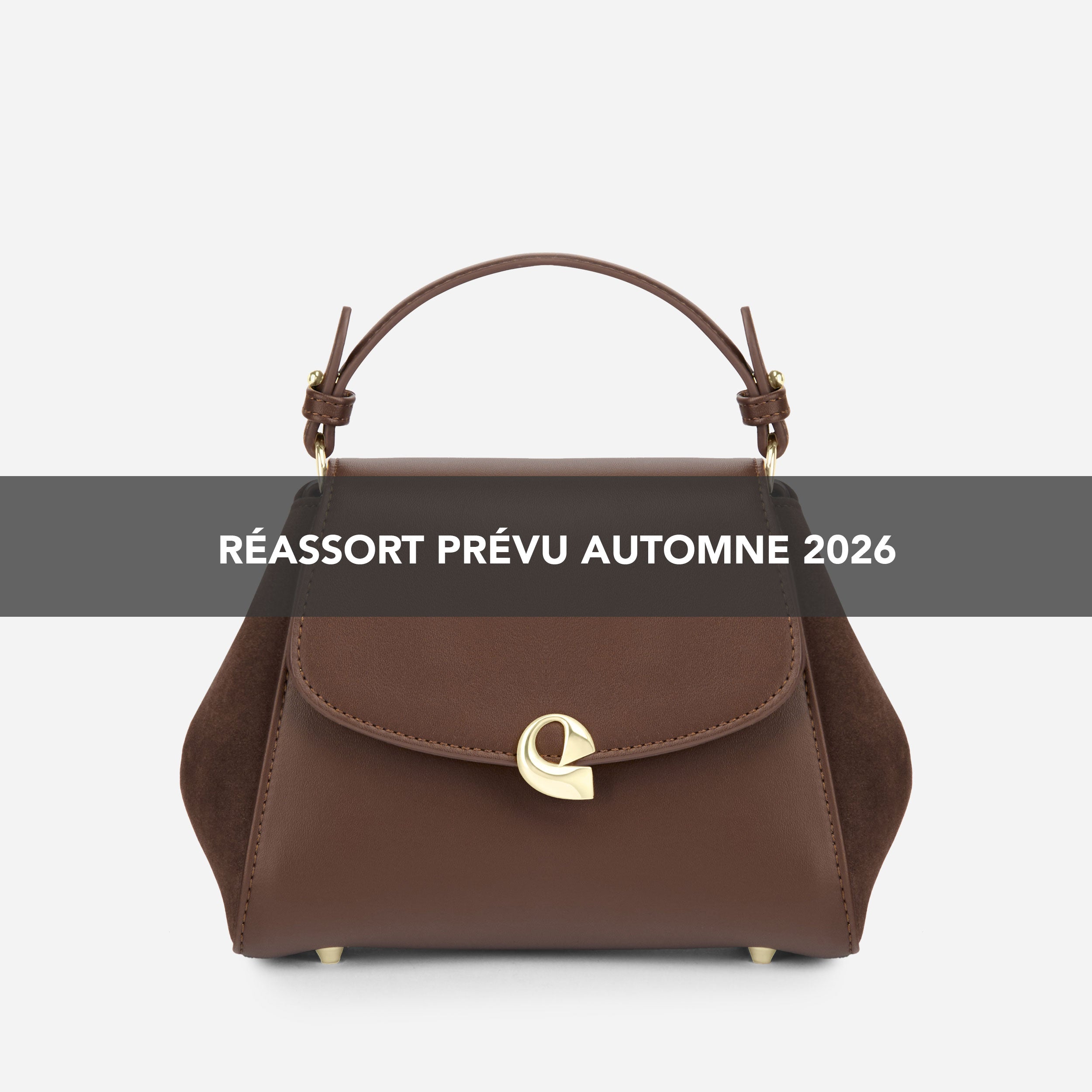 Sac Aura Précieuse - Suede Chocolat