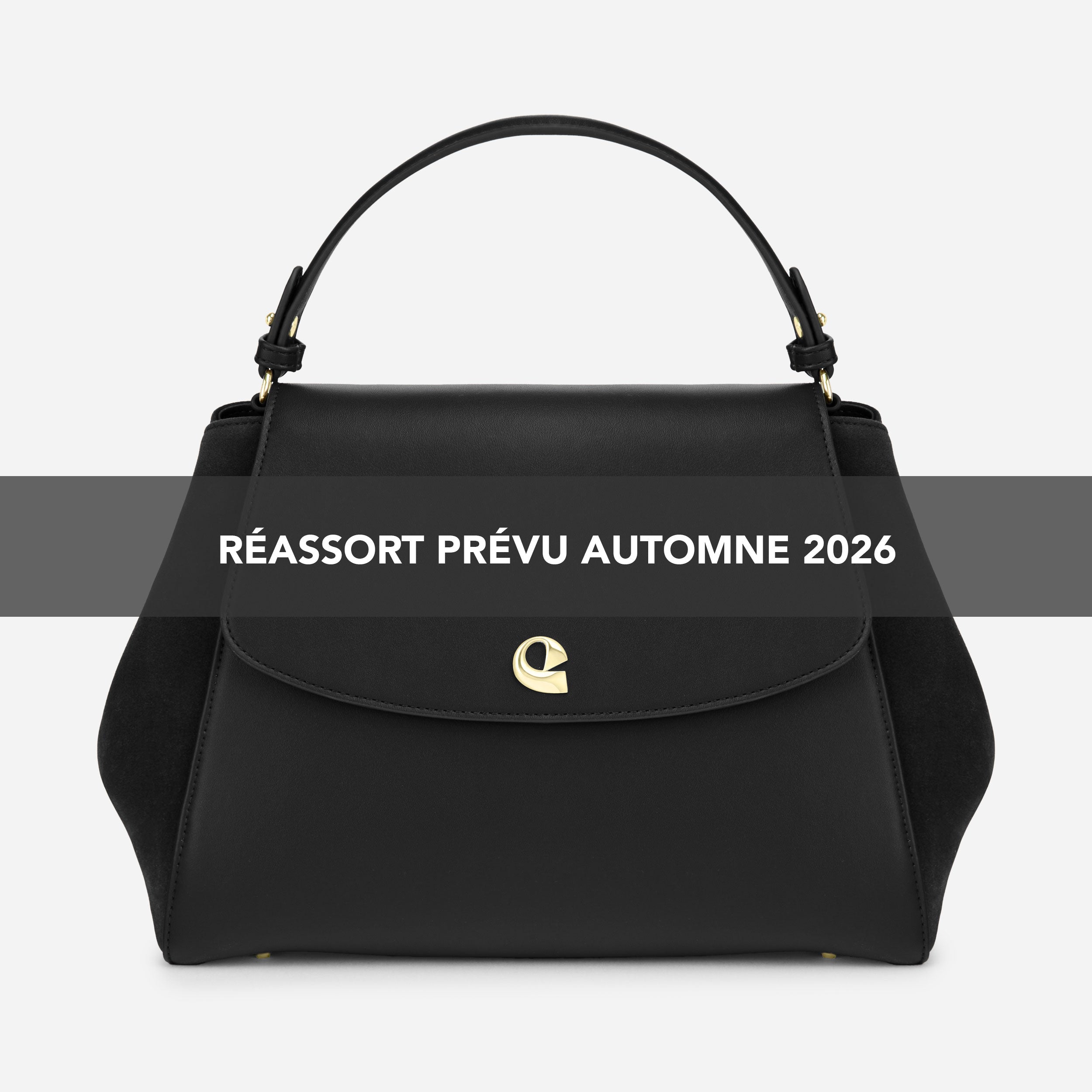 Sac Aura Spacieuse - Suede Noir